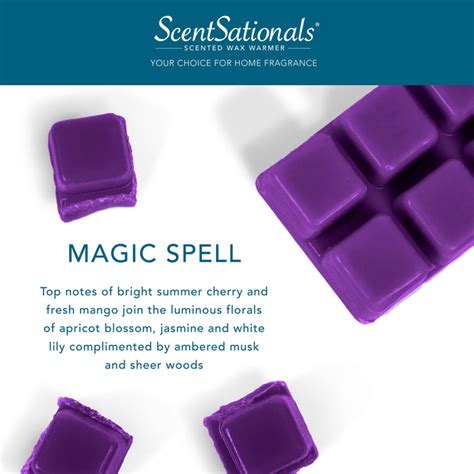 Invoke the spirits with our collection of magic spell wax melts.